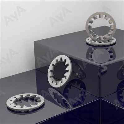 Stainless Star Washer